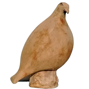 Aquila grassa