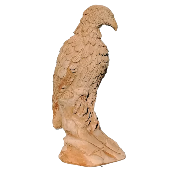 Aquila delle Dolomiti