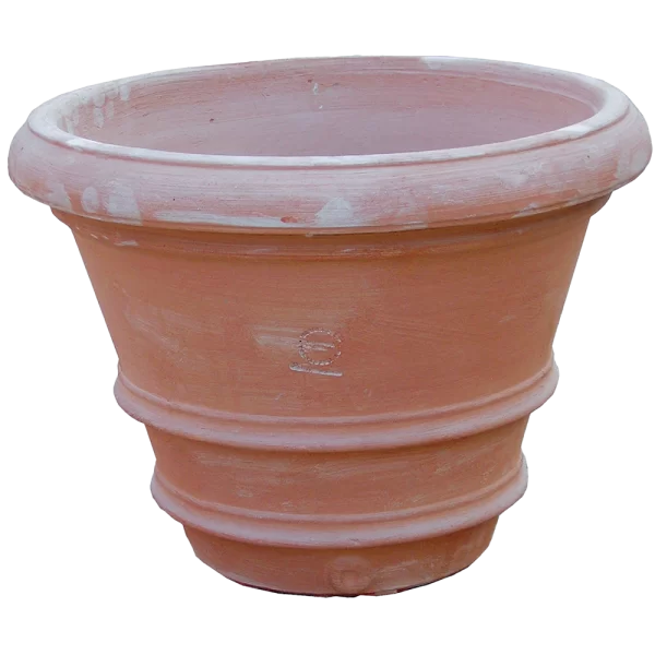 Vaso imprunetino liscio