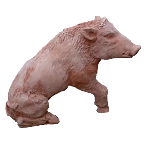 Cinghiale medio seduto